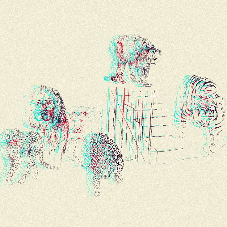 El sueño de los gatos