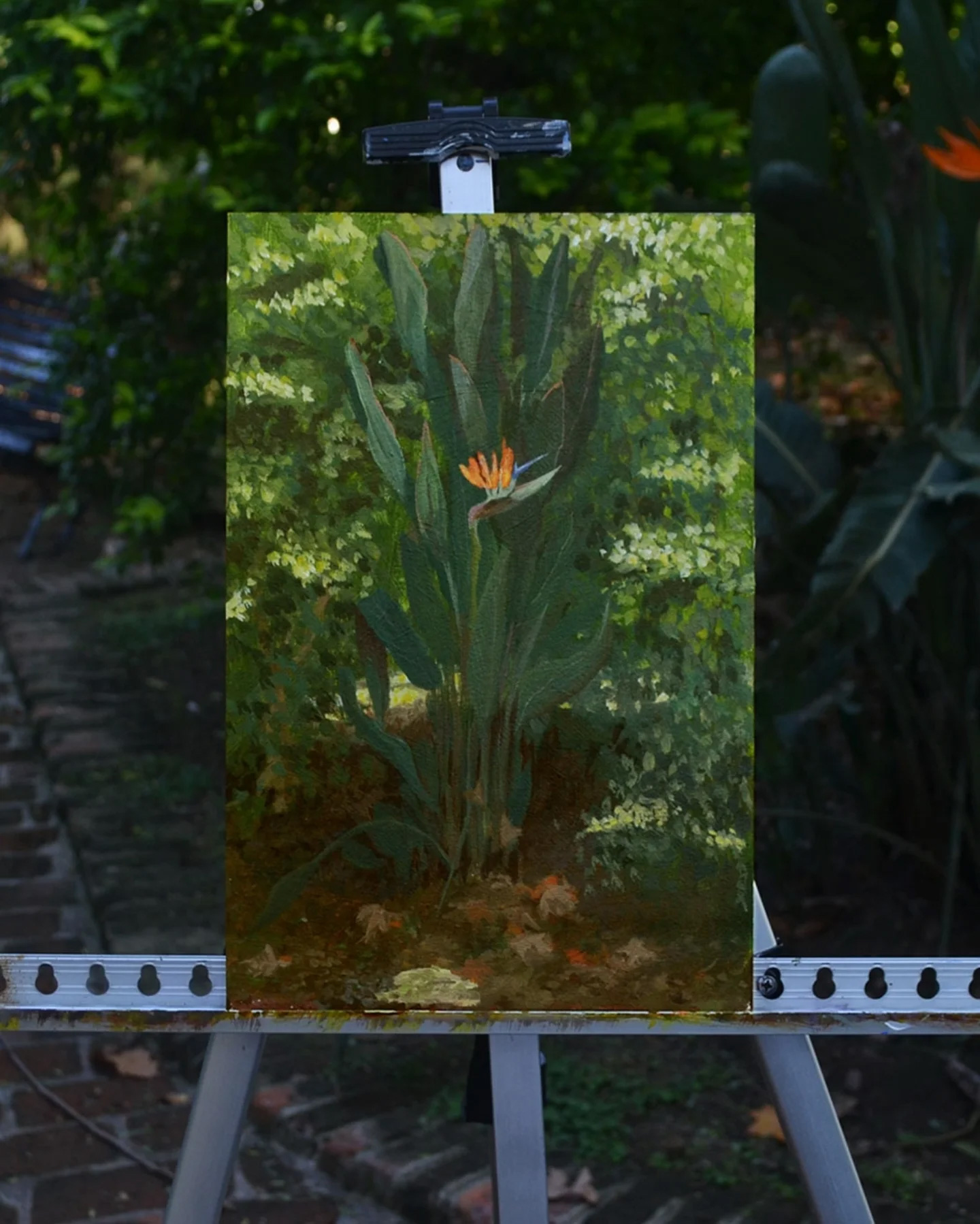 Bird of paradaise, flower painting in Borges Park